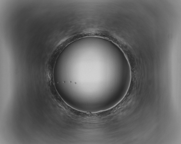 X0000111171206200907011342