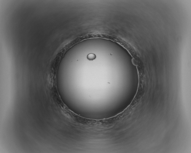 X0000111171207200907011342