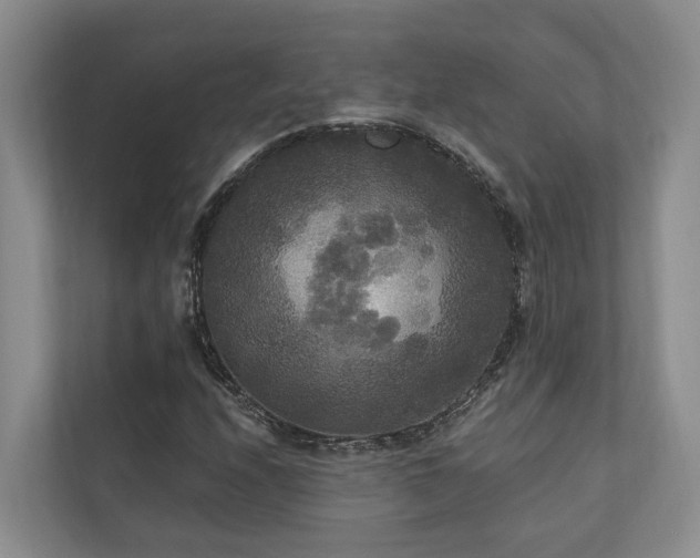 X0000111171208200907011342