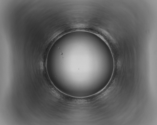 X0000111171209200907011342