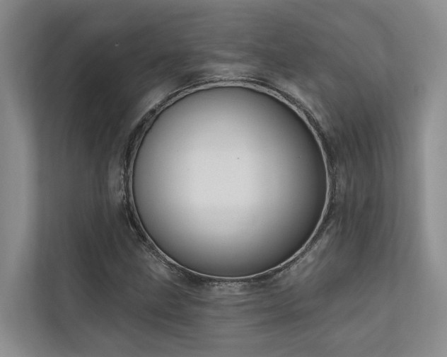 X0000111171211200907011343