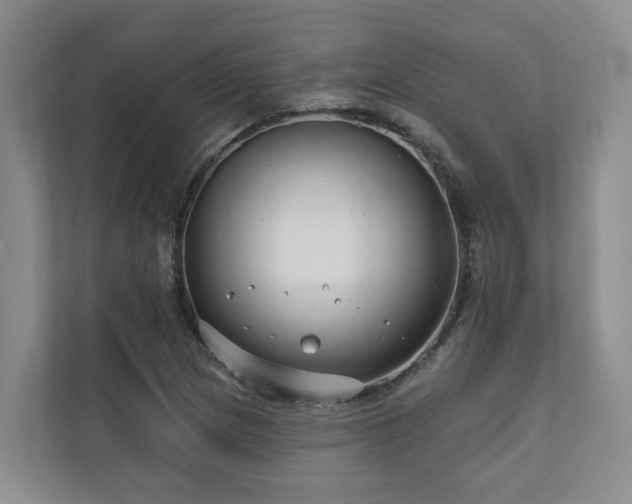 X0000111171217200907011343