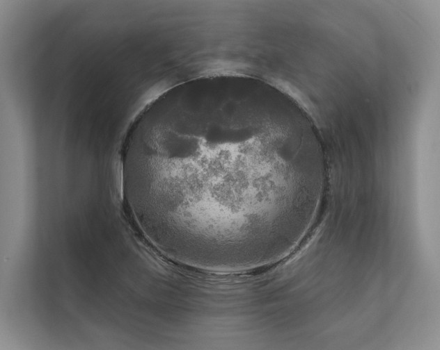 X0000111171219200907011343