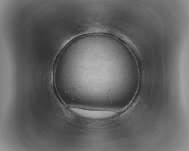 X0000111171220200907011343