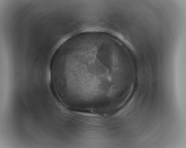 X0000111171221200907011343