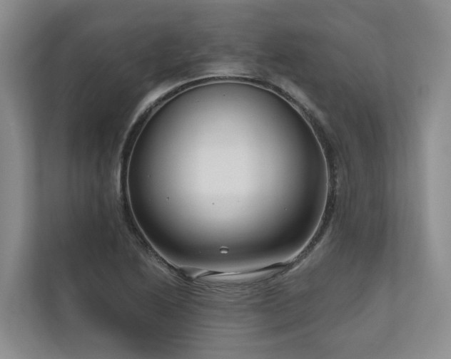 X0000111171222200907011343