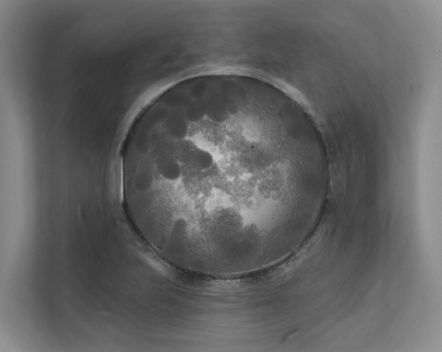 X0000111171223200907011343