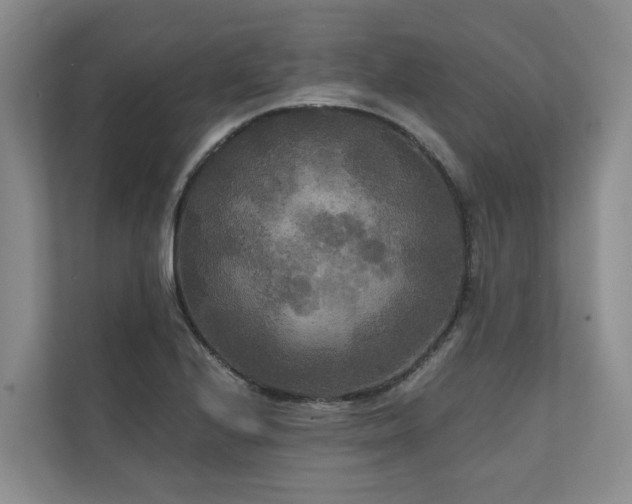 X0000111171224200907011343