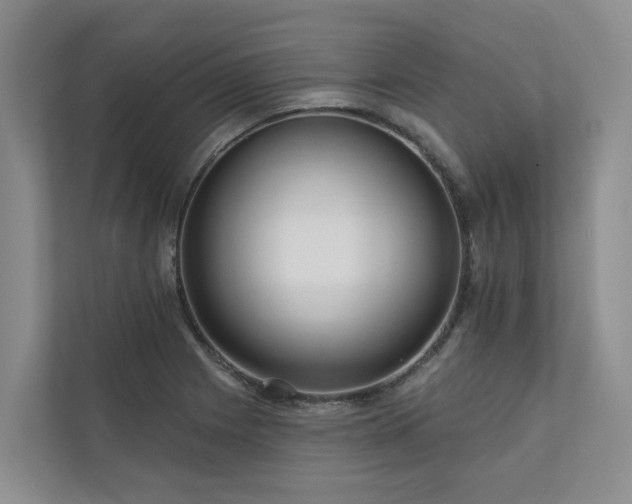 X0000111171225200907011343