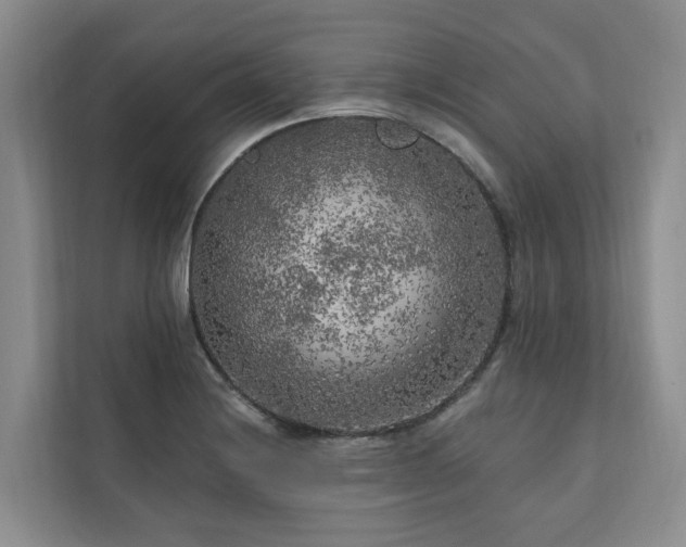 X0000111171228200907011343