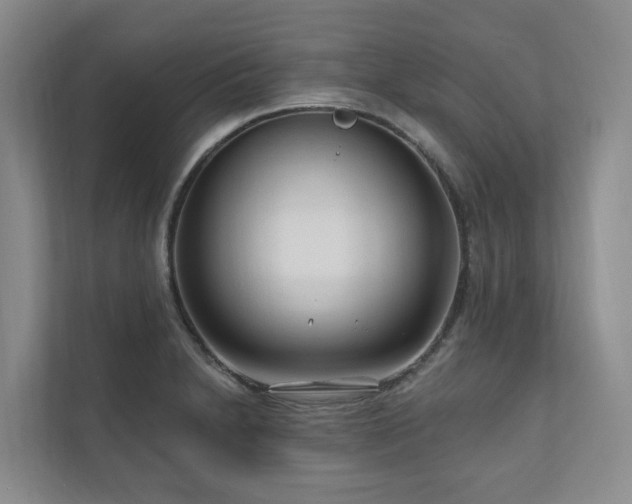 X0000111171230200907011343