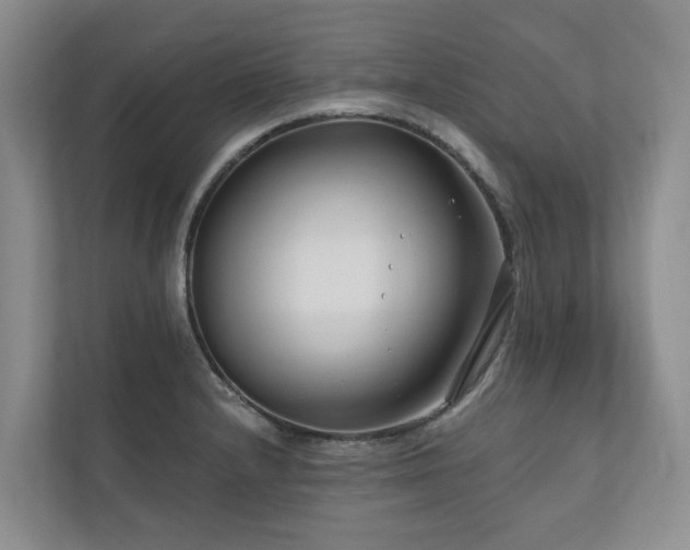 X0000111171232200907011343