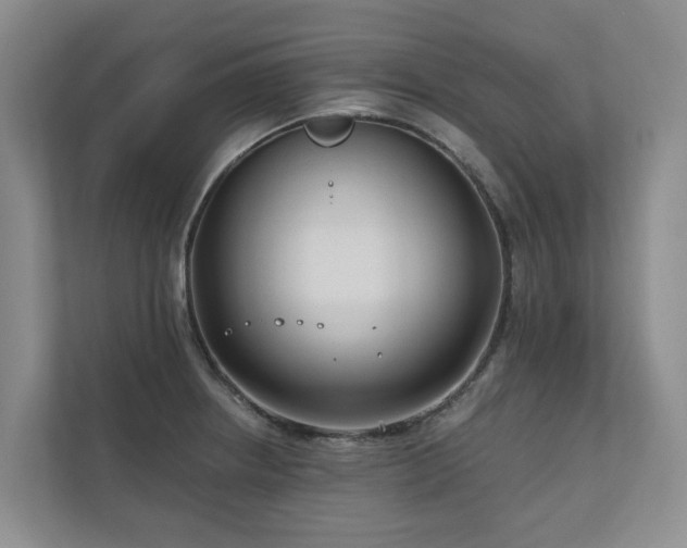 X0000111171234200907011343