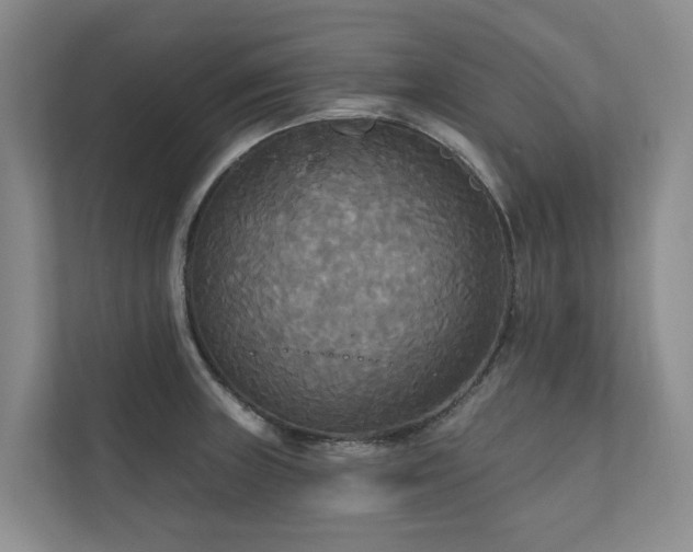 X0000111171235200907011343