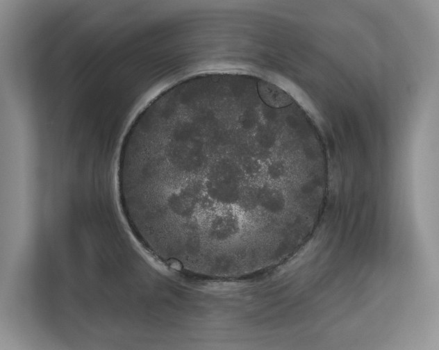 X0000111171237200907011343