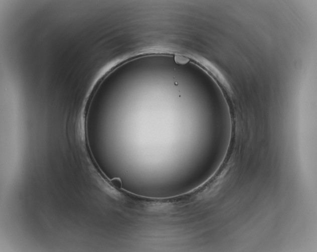 X0000111171238200907011343