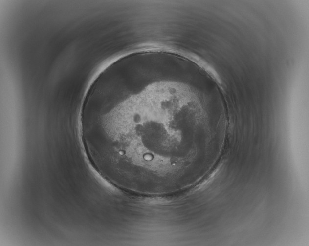 X0000111171239200907011343