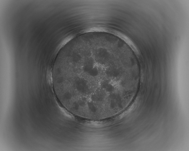 X0000111171241200907011343