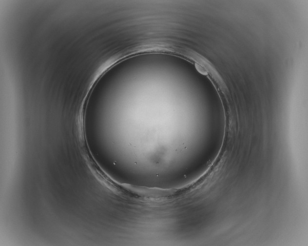 X0000111171242200907011343