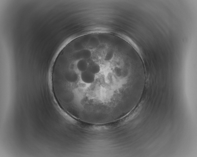 X0000111171243200907011343