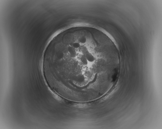 X0000111171245200907011343