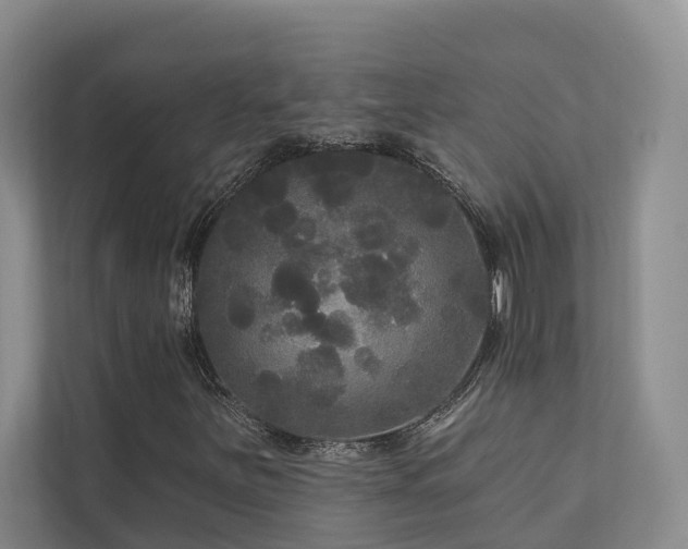 X0000111171251200907011342