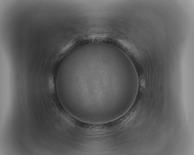 X0000111171252200907011342