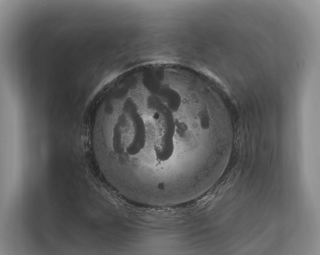 X0000111171255200907011342