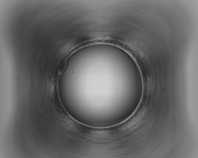 X0000111171257200907011342