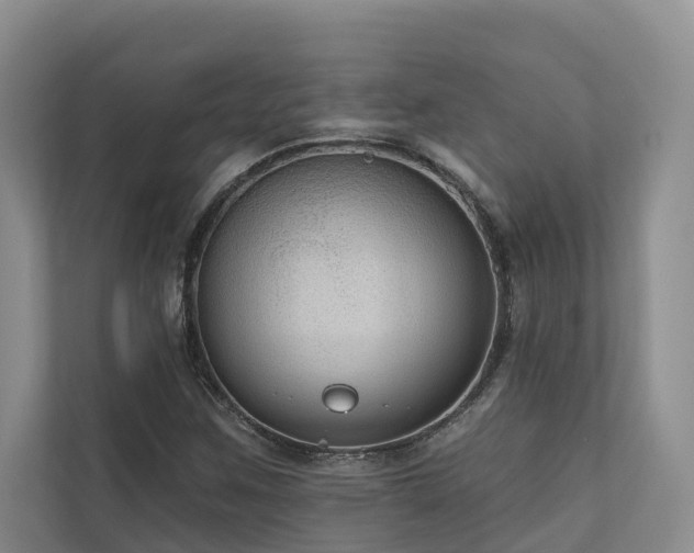 X0000111171259200907011342