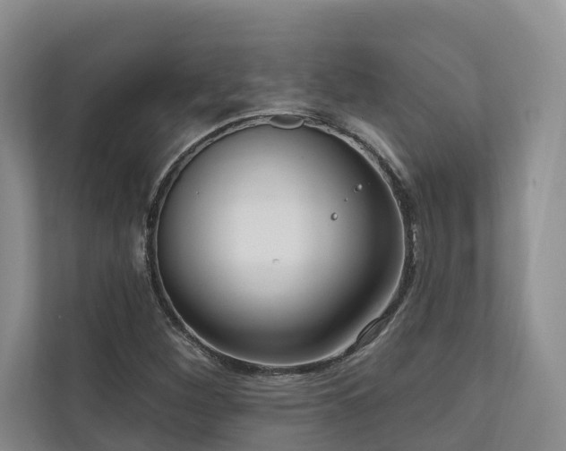 X0000111171260200907011342