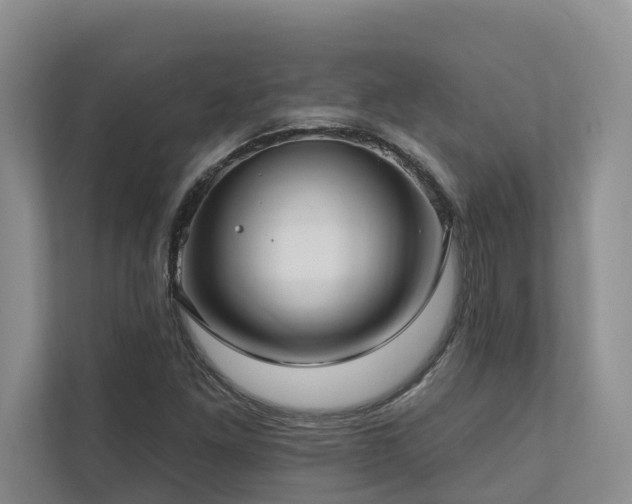 X0000111171261200907011342