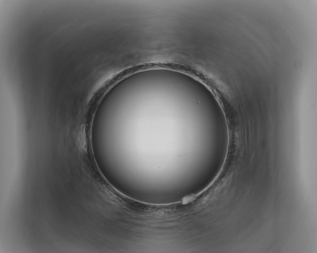 X0000111171262200907011342