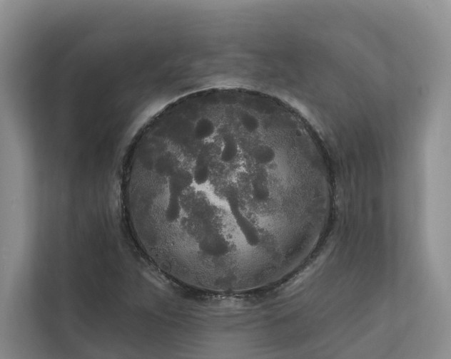 X0000111171263200907011342