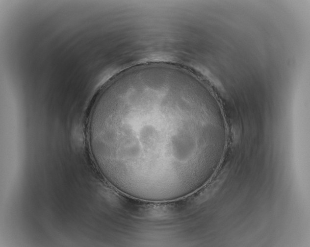 X0000111171266200907011342