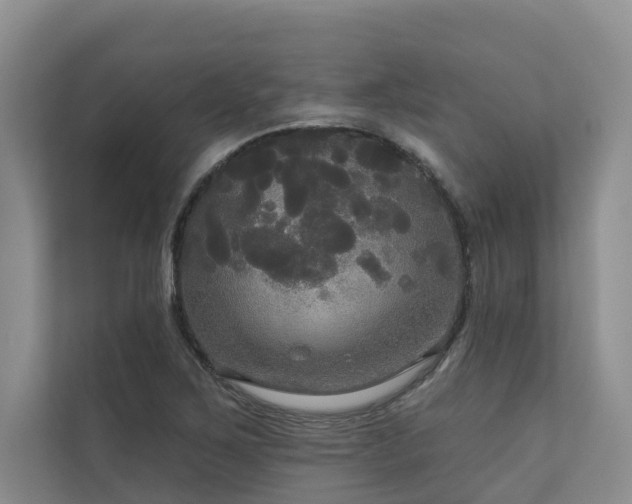 X0000111171267200907011342