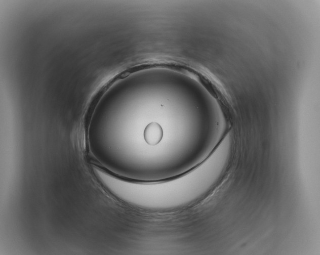 X0000111171269200907011342