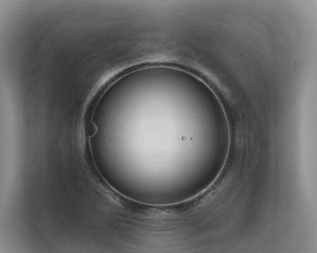 X0000111171270200907011342