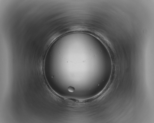 X0000111171273200907011342