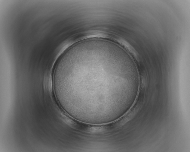 X0000111171274200907011342