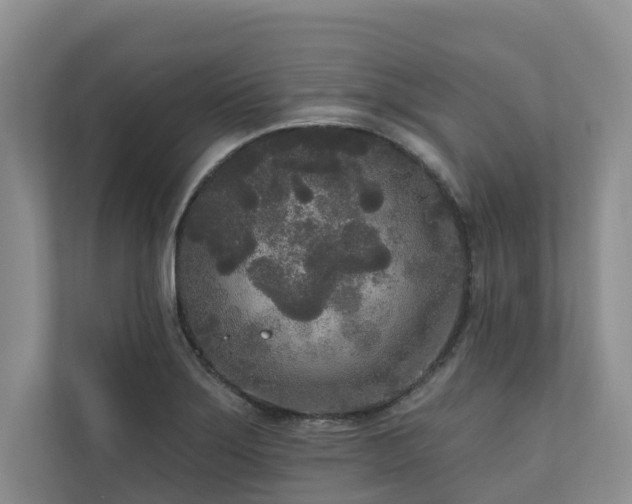 X0000111171275200907011342