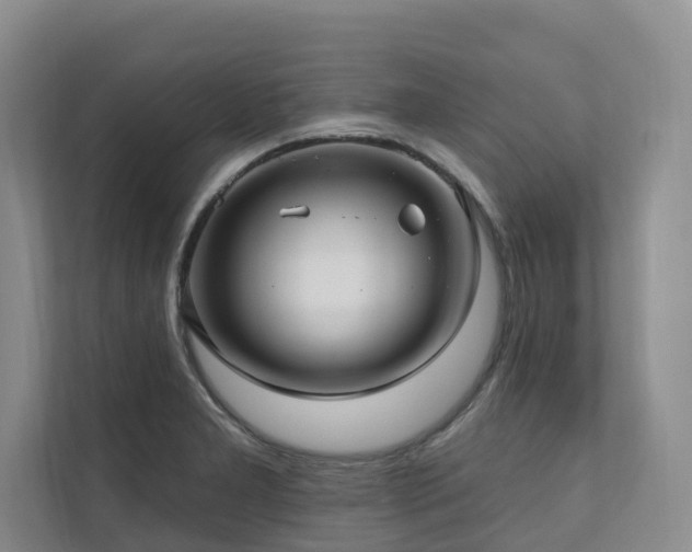 X0000111171277200907011342