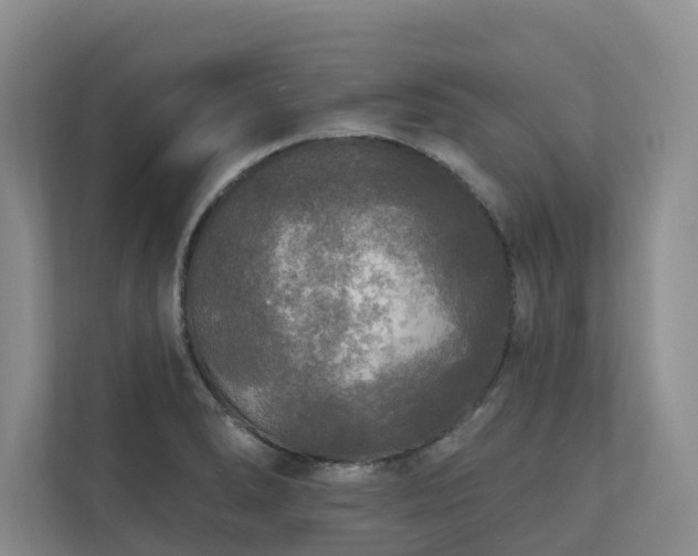 X0000111171278200907011342