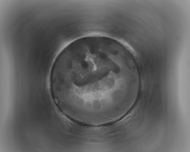 X0000111171279200907011342