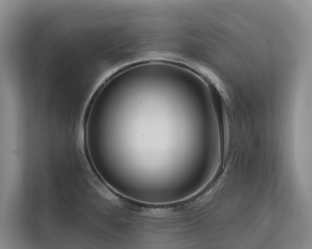 X0000111171280200907011342