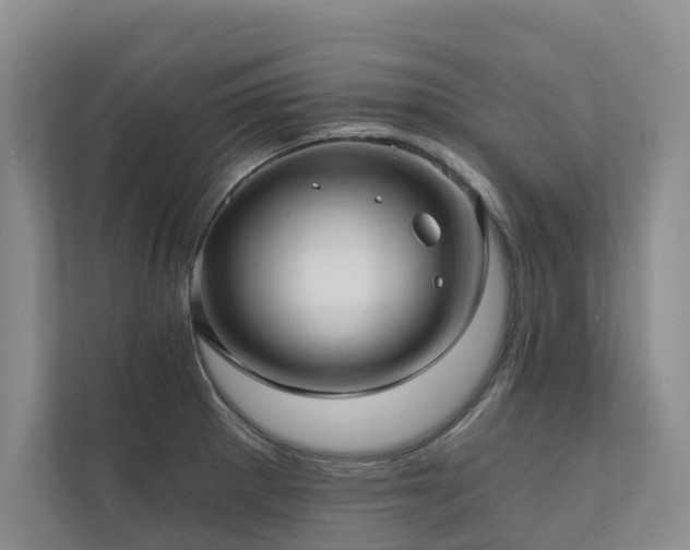 X0000111171281200907011342