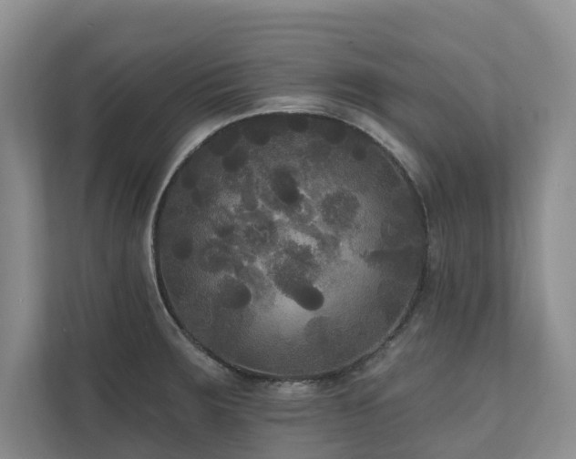 X0000111171283200907011342