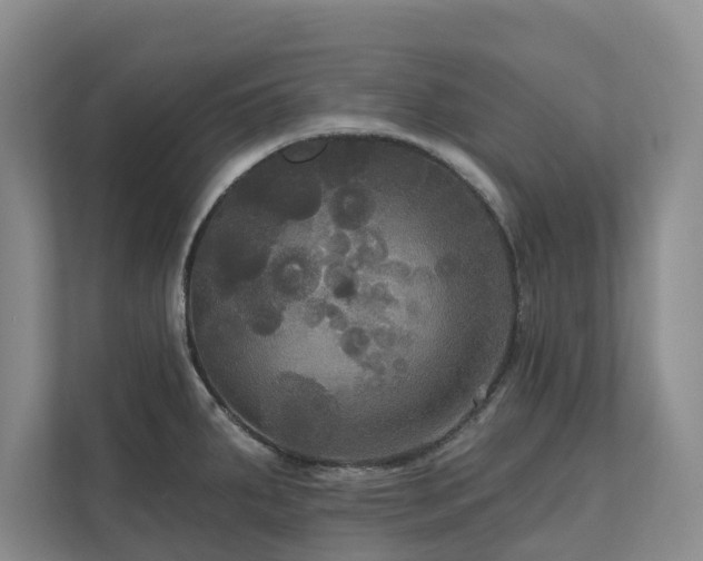 X0000111171287200907011342