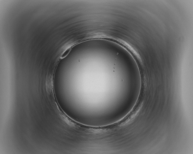 X0000111171289200907011342