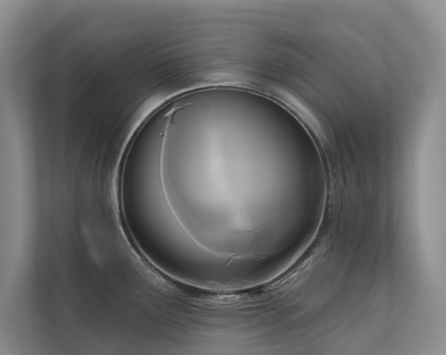 X0000111171291200907011342